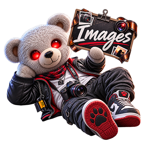 Images Bear
